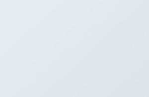 Read more about the article Just another post with A Gallery